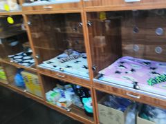 -Goku PET SHOP宠物视觉生活馆(双井店)