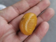 -秋栗香(地安门店)