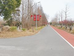 -上海长兴岛郊野公园