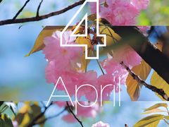 -星光摄影器材城