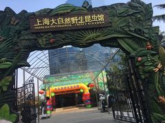 -上海大自然野生昆虫馆(东方明珠·爬宠昆虫探索中心)