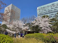 -日本大使馆-新闻文化中心