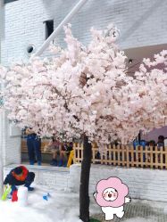 -Mr·Kuma酷么先生雪之乐园