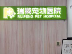 -瑞鹏宠物医院·微创内窥镜·骨外科·牙科(翠竹分院)