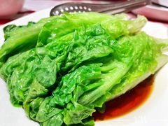 罗马生菜-西贝(金桥店)