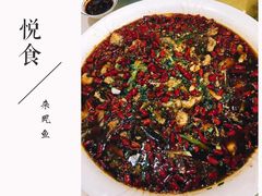 -西木兔(大圆祥店)