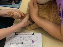 -瑞派康怡24h宠物医院·犬猫医疗中心·微创绝育(瑞景分院)