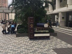 -香港大学