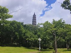 -顺峰山公园