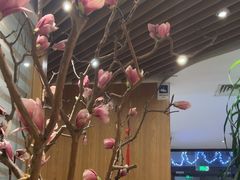 -一轩饺子馆(丽都店)