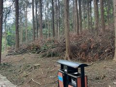 -四明山国家森林公园