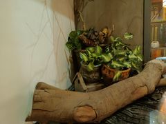 -湘当爱·鲜煮现炒(松岗立业路店)