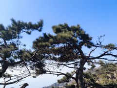 -泰山风景名胜区