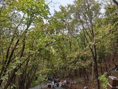-五女山景区
