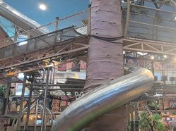 -卡通尼·Safari非洲探索乐园·生日会(金桥国际商业广场店)