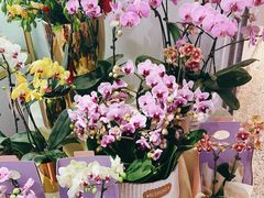 -EPOQUE·一刻花店(兴业太古汇店)