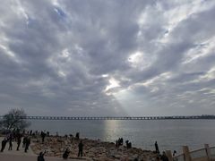 -宝安西湾红树林湿地公园