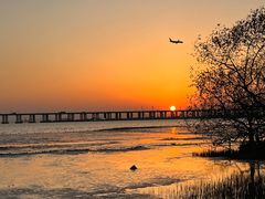 -宝安西湾红树林湿地公园