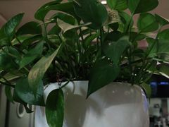 -大鹏佳兆业广场