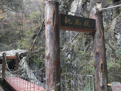 -牛背梁国家森林公园