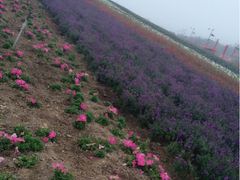 iphone_upload_pic-东部华侨城
