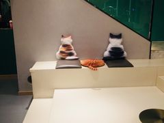 -飞行喵MR PILOT|猫舍·猫咖(静安大融城店)
