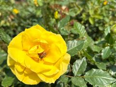 -人民公园(罗湖区)