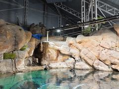 -上海海洋水族馆