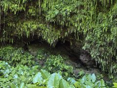 -海口火山口国家地质公园