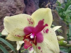 -南通洲际绿博园