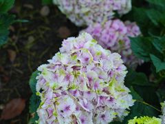 -常州古运河南大街文化旅游区-人民公园