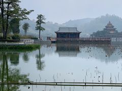 -顺峰山公园