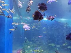 -顺德南宏海立方海洋公园