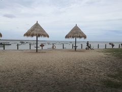 -北海金海湾红树林生态旅游区