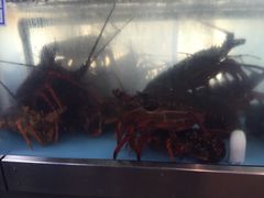 -海上人家The Sea Food Paradise Restaurant & Bar
