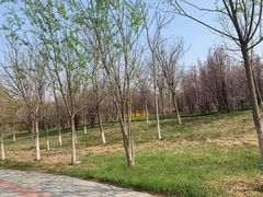 -杨柳青庄园