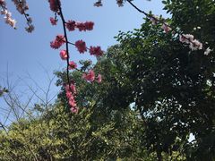 -重庆彩云湖湿地公园
