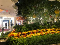 -拉斯维加斯永利酒店