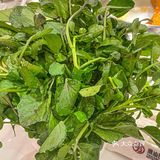 潮汕围炉｜潮汕鲜牛肉火锅太好吃了🙋🏻‍♀️🙋🏻‍♀️