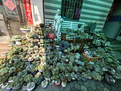 -杨厝六十六农庄农舍(杨厝路店)