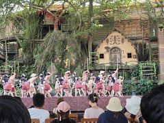 -海南槟榔谷黎苗文化旅游区