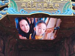 -西双版纳原始森林公园