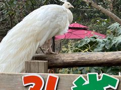 -宁波野生动物园