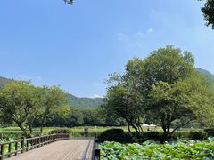 -八卦田遗址公园