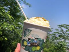 -茶颜悦色(岳麓山顶店)