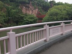 -青枫公园