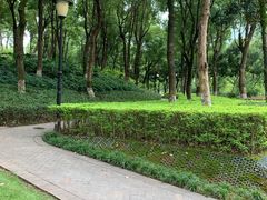 -重庆市江北嘴中央商务区中央公园