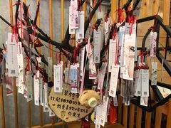 大堂-茶颜观色(晋江店)