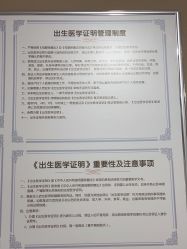 -玛丽亚妇产医院