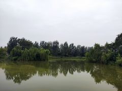 -白鹭湾湿地公园